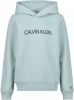 Calvin Klein Hoodie met logoprint online kopen